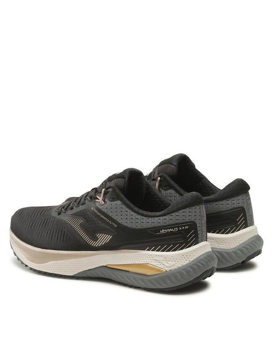 R.HISPALIS 2341 BLACK GOLD