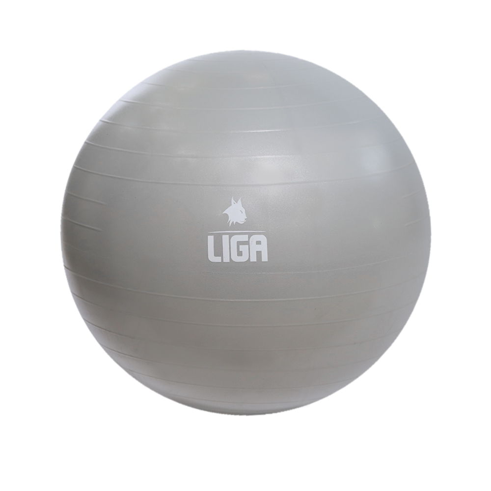 GBS-G Μπάλα γυμναστικής 55cm Gym Ball  γκρι LIGA 