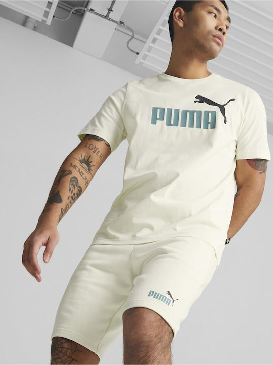 ESS+ 2 Col Shorts 10" (586766)