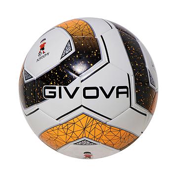 PALLONE ACADEMY SCHOOL PAL026 