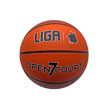 BASKETBALL OPEN COURT (7) (LIGA)