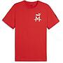 PUMA ACM Ftblicons Tee (774029)
